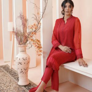 A woman in traditional red clothing sitting elegantly indoors, showcasing Pakistani fashion.